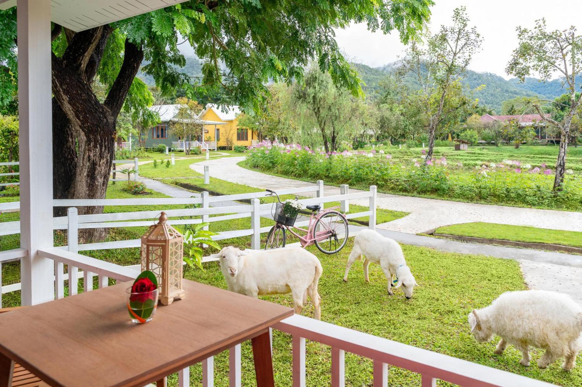 Luxury Farm House Pai Zewnętrze zdjęcie